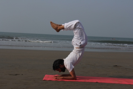 yoga teacher training in yoga