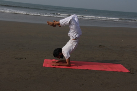 yoga teacher training in goa
